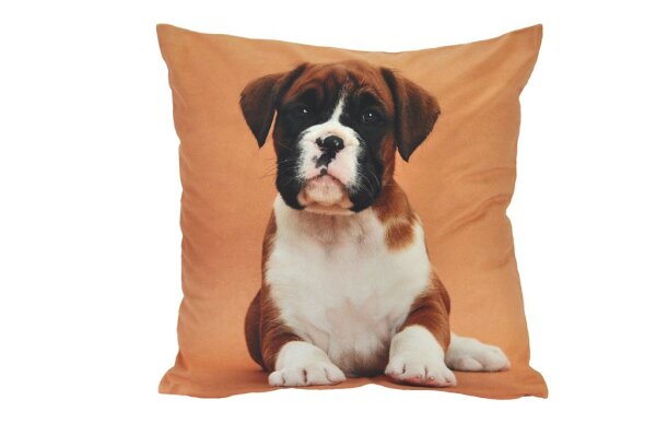 Kissenhülle Hund Welpe Fotodruck orange 40 x 40 cm